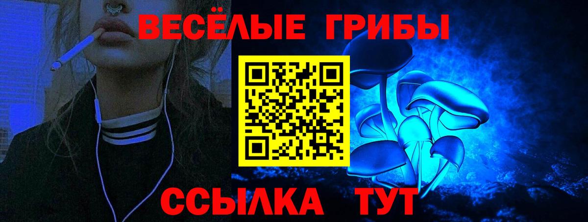 Чита  Псилоцибиновые грибы GOLDEN TEACHER  Вход с VPN  Галлюциногенные грибы ЛСД 