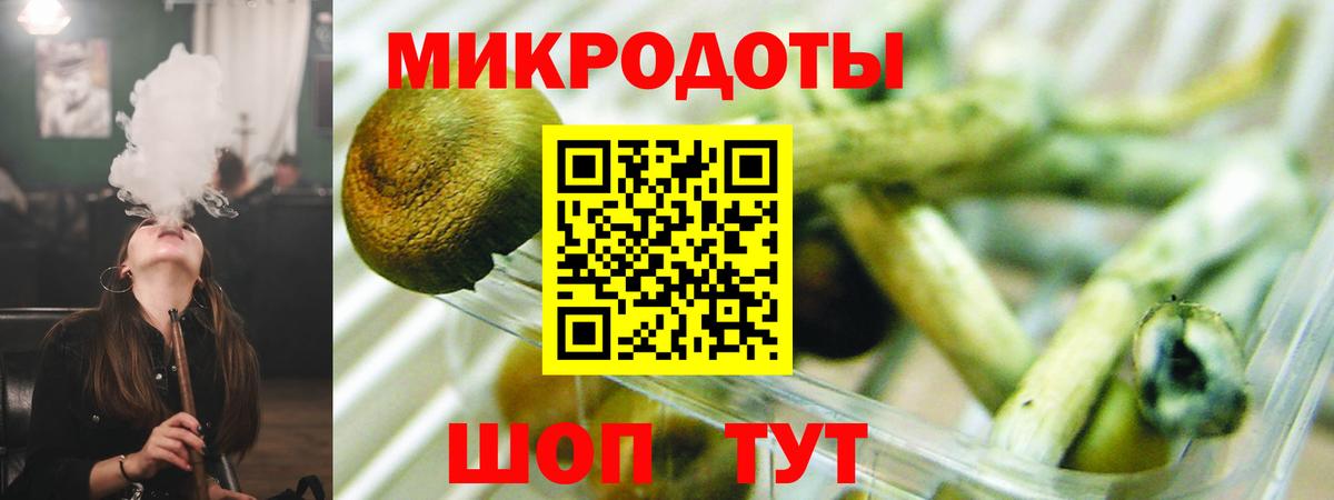Галлюциногенные грибы Psilocybine cubensis Чита