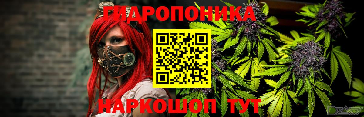 МАРИХУАНА OG Kush  Бошки марихуана план  Чита  Конопля ГИДРОПОН  Вход с VPN 